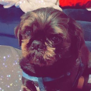 Meet your Posher, Sidnie